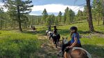 Horseback riding with beautiful views